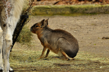 Similar image 21503181