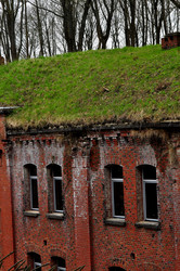 Similar image 21503182