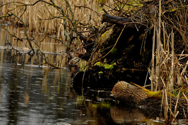 Similar image 21503186