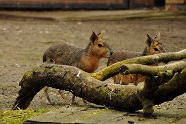 Similar image 21503189