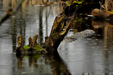 Similar image 21503193