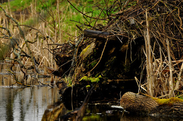 Similar image 21503194