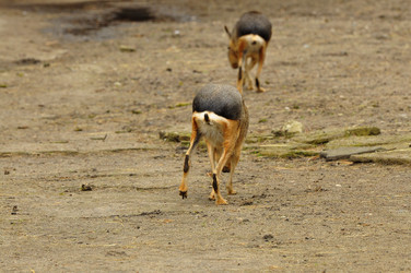 Similar image 21503588