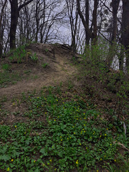 Similar image 21503598