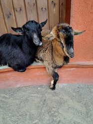 Similar image 21490245