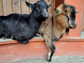 Similar image 21490246