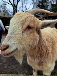 Similar image 21490248