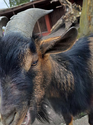 Similar image 21490249