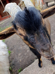 Similar image 21490250