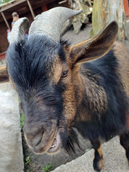 Similar image 21490251