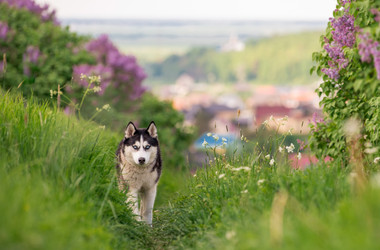 Similar image 21482453