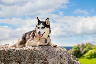 Similar image 21482474