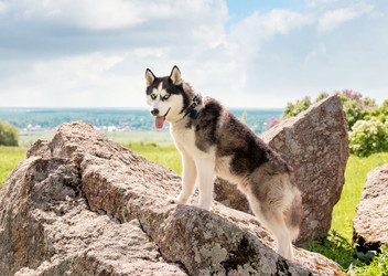 Similar image 21482478