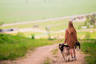 Similar image 21482482