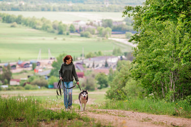 Similar image 21482485