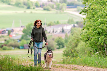 Similar image 21482487