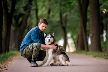 Similar image 21482513