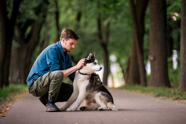 Similar image 21482515