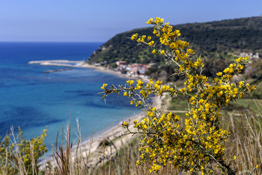 Similar image 21495577