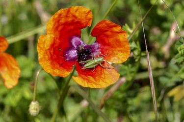 Similar image 21495579