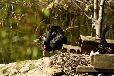 Similar image 21492434