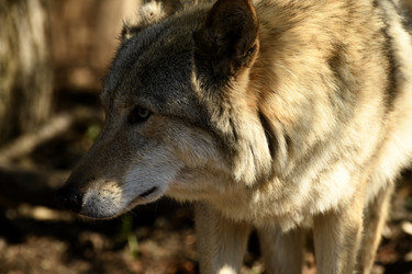 Similar image 21492435