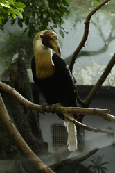 Similar image 21492436