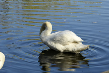 Similar image 21492438