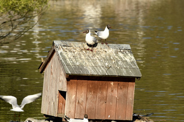 Similar image 21492439