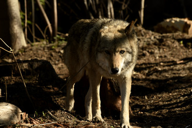 Similar image 21492440