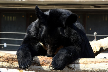 Similar image 21492441