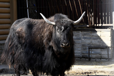 Similar image 21492443