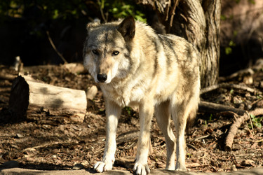 Similar image 21492444