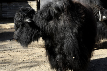 Similar image 21492445