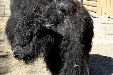 Similar image 21492446