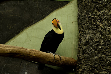 Similar image 21492448