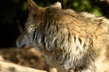 Similar image 21492451