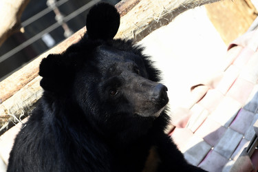 Similar image 21492452