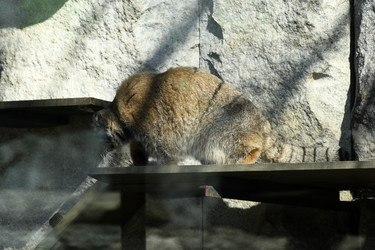 Similar image 21492453