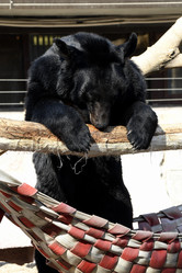 Similar image 21492454