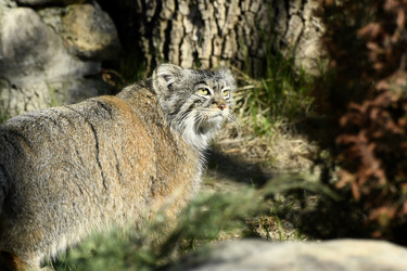 Similar image 21492455