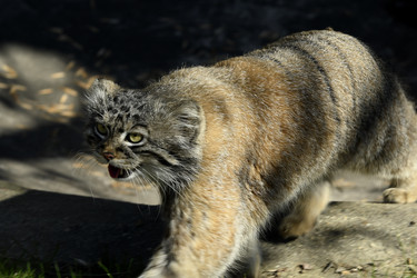 Similar image 21492456