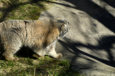 Similar image 21492457