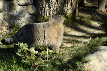 Similar image 21492459