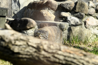 Similar image 21492460