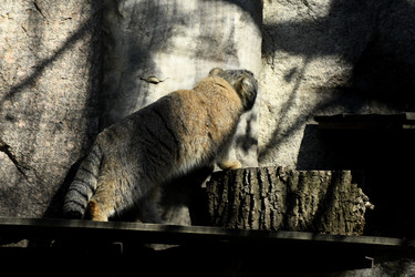 Similar image 21492461