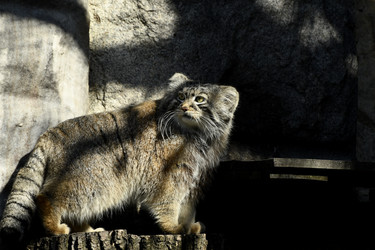 Similar image 21492462