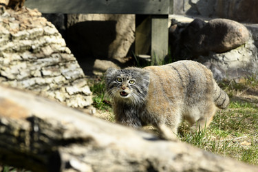 Similar image 21492463