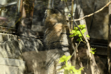 Similar image 21492464