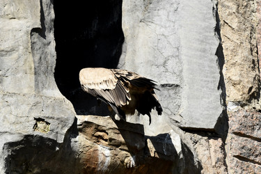 Similar image 21492465